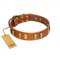 "Olive Slice" FDT Artisan Tan Leather Bulldog Collar with Engraved and Smooth Plates