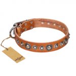 "Daily Chic" FDT Artisan Tan Leather Bulldog Collar with Decorations