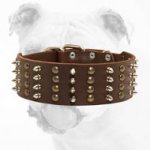Handcrafted Leather Bulldog Collar with Spikes and Pyramids
