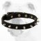 Elegant Leather Bulldog Collar with Hand Set Nickel Shiny Spikes
