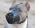 Safe Daily Walking Leather Muzzle