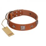 "Lucky Star" FDT Artisan Tan Leather Bulldog Collar with Silver-Like Embellishments