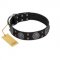 "Boundless Blue" FDT Artisan Black Leather Bulldog Collar with Chrome Plated Brooches and Square Studs