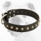 Fascinating Wide High Quality Leather Bulldog Collar