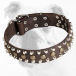 Reliable Leather Bulldog Collar with Brass Studs and Nickel Pyramids
