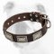 War Design Wide Leather Bulldog Collar with Nickel Plates