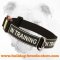Practical All Weather Walking Nylon Bulldog Collar with Quick Release Buckle