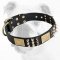 Exclusive Wide Decorated Leather Bulldog Collar