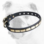 Fashionable Leather Bulldog Collar with Plates