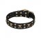 'Jolly Rojer' FDT Artisan Bulldog Leather Dog Collar with Pirate Skulls and Studs - 1 1/2 inch (40 mm) wide