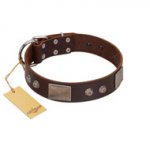 "Stone Stars" Stylish Handmade FDT Artisan Brown Leather Bulldog Collar