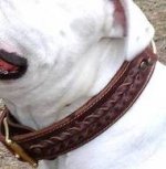 Handcrafted Leather Dog Collar for Australian Bulldog