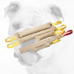 Training Jute Bulldog Bite Set