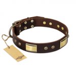"Rich Fashion" FDT Artisan Decorated Leather Bulldog Collar with Plates and Studs