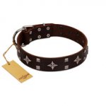 "Trendy Candy" FDT Artisan Brown Leather Bulldog Collar Adorned with Stars and Tiny Squares