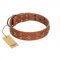 "Dreamy Gleam" FDT Artisan Tan Leather Bulldog Collar Adorned with Stars and Squares