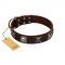 "Nut-Brown Finery" Embellished FDT Artisan Brown Leather Bulldog Collar with Chrome Plated Crossbones and Plates