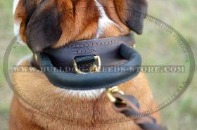 2 ply Agitation Training Leather Bulldog Collar with Handle