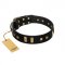 "Fit for Royalty" FDT Artisan Black Leather Bulldog Collar with Plates and Small Square Studs