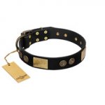 "Chicci-Glam" FDT Artisan Black Leather Bulldog Collar with Plates and Ornate Studs