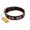 "High and Mighty" FDT Artisan Classy Brown Leather Bulldog Collar with Embellished Brooches