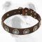 Tan Leather Dog Collar with Silver Plated Circles Blue Stones