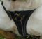 Australian Bulldog Walking Dog Harness