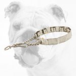 Neck Tech Stainless Steel Bulldog Pinch Collar