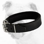 Luxury Leather Bulldog Collar with Soft Padding