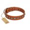 "Silver Spike" Handmade FDT Artisan Tan Leather Bulldog Collar with Old Silver-Like Spikes