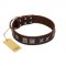"Needle Stories" Modern FDT Artisan Brown Leather Bulldog Collar with Square Engraved Plates and Four-Point Stars