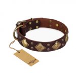 "Golden Square" FDT Artisan Brown Leather Bulldog Collar with Large Squares