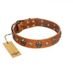 "Call of Feat" FDT Artisan Tan Leather Bulldog Collar with Old Bronze-like Studs and Oval Brooches