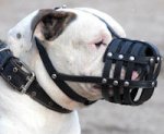 Everyday Durable Leather Bulldog Muzzle