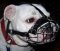 Practical English Bulldog Wire Cage Muzzle