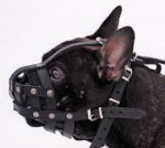 Adjustable Leather Basket French Bulldog Muzzle