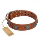 "Blue Sands" FDT Artisan Tan Leather Bulldog Collar with Silver-like Studs and Round Conchos with Stones