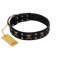 "Black Jack" Stylish Handmade FDT Artisan Black Leather Bulldog Collar