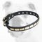 Fashionable Leather Bulldog Collar with Plates