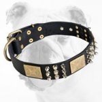 Exclusive Wide Decorated Leather Bulldog Collar