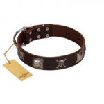 "Nut-Brown Finery" Embellished FDT Artisan Brown Leather Bulldog Collar with Chrome Plated Crossbones and Plates