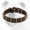 Royal Leather Bulldog Collar with Hand-Set Spikes and Studs