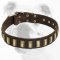 Super Fashionable Leather Bulldog Collar with Unique Brass Plates
