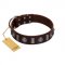 "Spiky Way" FDT Artisan Brown Leather Bulldog Collar with Silver-Like Decorations