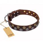 'Strong Shields' FDT Artisan Leather Bulldog Collar with Handset Exclusive Decor