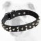 Elegant Super Fashionable Genuine Leather Bulldog Collar with Small Pyramids