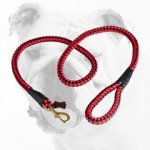 Cord Nylon Bulldog Leash with Strong Brass Snap Hook