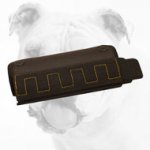 Bulldog Bite Developer for Professional Training