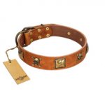 "Knights Templar" FDT Artisan Tan Leather Bulldog Collar with Skulls and Crossbones Combined with Squares