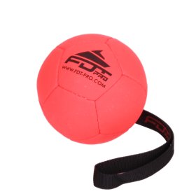 Inflatable Dog Training Ball with a Handle